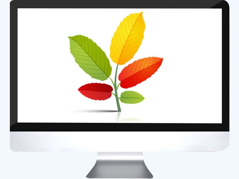 clipping path action color correction service sample with leaves image