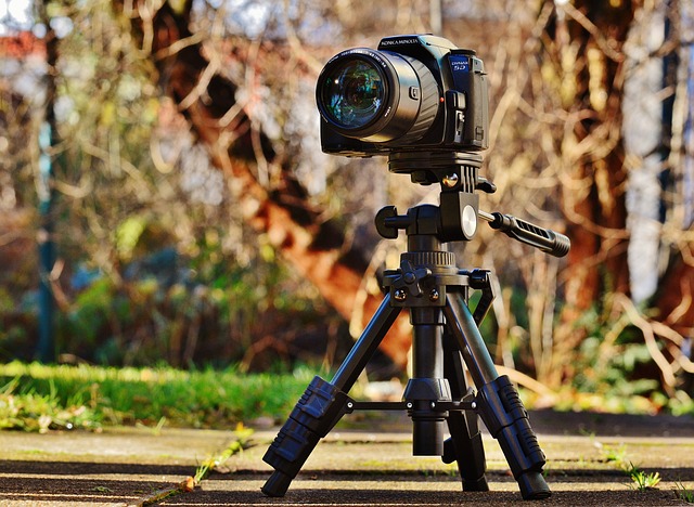 tripods for product photography