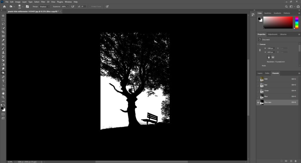 how to use dodge and burn tool for removing background from trees in photoshop
