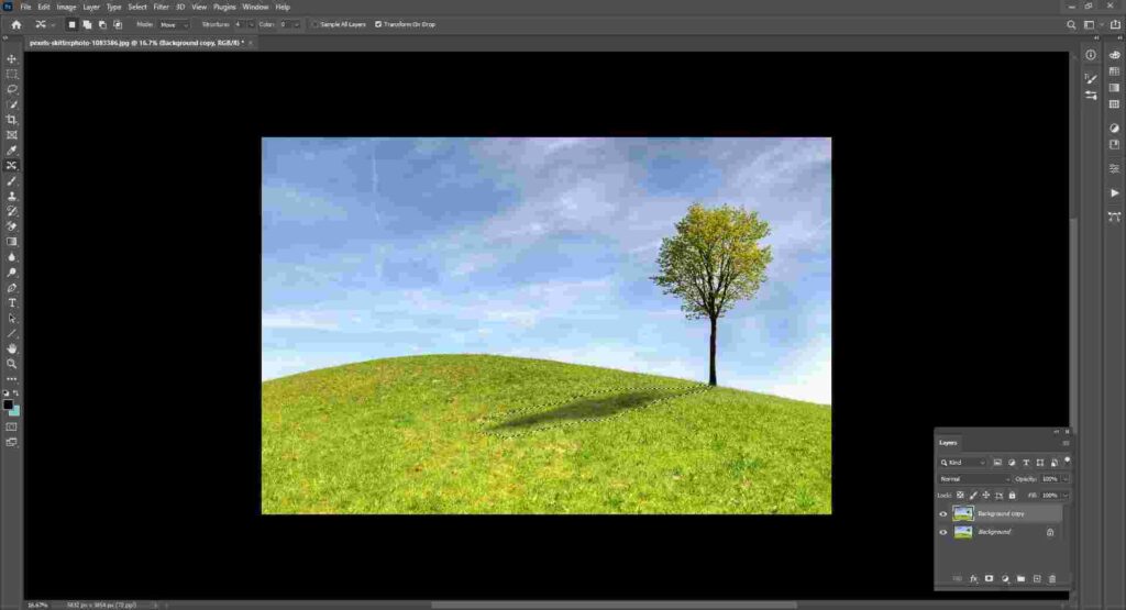 remove shadows in photoshop from tree image