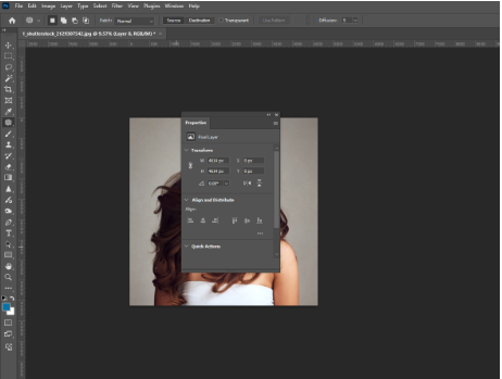 How to Remove the White Background in Photoshop 11
