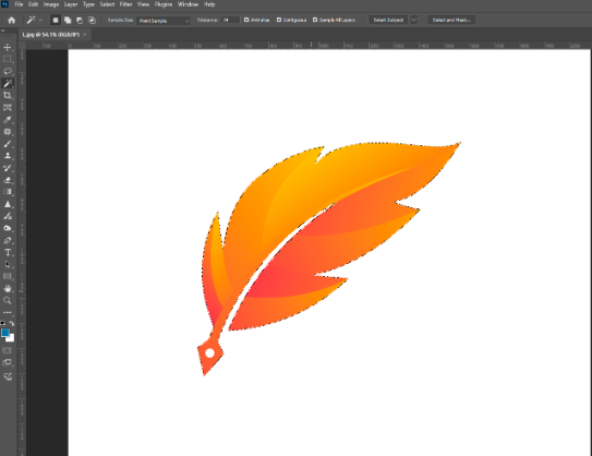 How to Remove the White Background in Photoshop white background